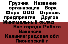 Грузчик › Название организации ­ Ворк Форс, ООО › Отрасль предприятия ­ Другое › Минимальный оклад ­ 27 000 - Все города Работа » Вакансии   . Калининградская обл.,Пионерский г.